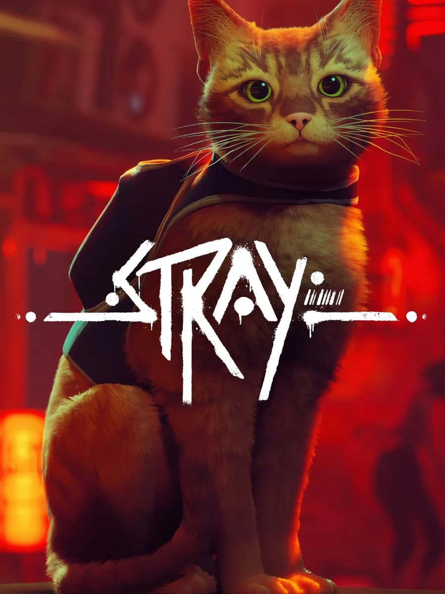 Stray